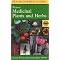 Learn About Wild Foods and Medicines