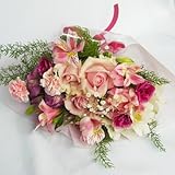 ���������o���ƁA�J�[�l�[�V�����ƃK�[�x���A�Ђ܂��ȂǋG�߂̉Ԃ̂��C���ԑ�10���܂ł̂������ő��������i�x�Ɠ��͕s�j