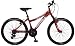 Mongoose Montana Girls' Mountain Bike (24-Inch Wheels)
