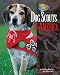 Dog Scouts of America (Dog Heroes)