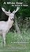 A White Deer - a short story by Patrick D. Smith