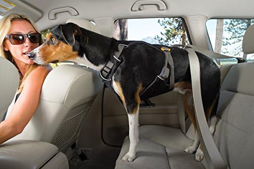 RUFFWEAR โ
LOAD UP CAR RESTRAINT SAFETY DOG HARNESS โ
SEATBELT ATTACHMENT โ
VEHICLE CRASH TESTED โ
ALL SIZES (L/XL)
