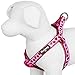Blueberry Pet Step-in Ladybug Designer Dog Harness, Chest Girth 15.5