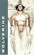 Wolverine: Lifeblood (Wolverine)