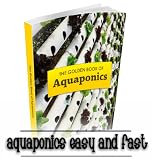 aquaponics system aquaponics system