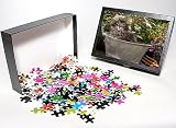 Photo Jigsaw Puzzle of Norwegian Forest Cat - in metal planter with flowers from Ardea Wildlife Pets