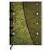Seidenpracht Grün - Notizbuch Midi - Liniert - Paperblanks