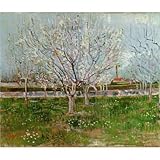 IMAGE OF Vincent Van Gogh (Flowering Orchard) Art Poster Print - 11x17
