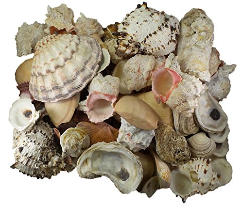 U.S. Shell Garden Shell Bag, 10 Pounds