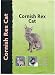 Cornish Rex Cat (Pet Love) by Eve Denise Jones