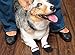 RC Pet Products PAWks Dog Socks, Paw Protection, Medium, Pink Mary Janes (62204080)
