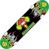 Alliance Afterburner Cartoon Series Level 1 Complete Skateboard