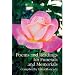 Poems and Readings for Funerals and Memorials