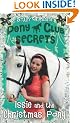 Issie and the Christmas Pony: Christmas Special (Pony Club Secrets)