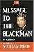 Message to the Blackman in America