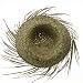 51bTxxOBQYL. AA75  Bird Nest Hats Straw