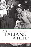 Are Italians White?: How Race is Made in America