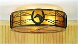 Flush Mounted Light Fixtures