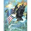 MINI American Eagle 100pc 7x9 Inch Jigsaw Puzzle by Ruane Manning
