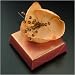 Wedding Chocolate Favor - Orange Glamour - Patchi