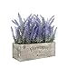 Velener Artificial Flower Potted Lavender Plant for Home Decor (Wooden Tray)