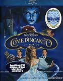Come D`Incanto