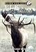 Elk Calling...sounds to Success Dvd