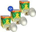 Agrosun Dayspot Incandescent Spot Grow Light Bulbs (Set of 3)
