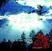 蜘蛛の糸(通常盤)