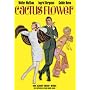 Cactus Flower