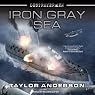 Iron Gray Sea: Destroyermen, Book 7
