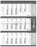 3 Monats Kalender Futura 2009: Mohn Media