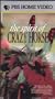 The Spirit of Crazy Horse [VHS]