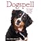 understand the spiritual life of dogs