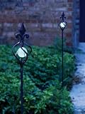 Illuminarie 43in. Decor/Plant Stake