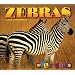 Zebras (Wild Ones)
