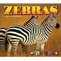 Zebras (Wild Ones)