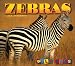 Zebras (Wild Ones)