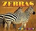 Zebras (Wild Ones)