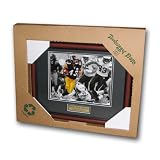 NFL New Jersey Nets Treehugger 8x10 Unsigned Framed Photo - Troy Polamalu