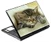 Sleeping Ketten Decorative Protector Skin Decal Sticker for 15.4
