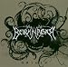 Anklicken zum Vergrößeren: Borknagar - Origin (Audio CD)