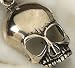 Gothic Medieval Skull Necklace Pendant New (the digital angel)