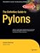 The Definitive Guide to Pylons