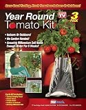 Kitchen & Housewares : Year Round Tomato