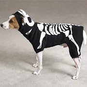 X-LARGE - GLOWING BONEY DOG - Pet Halloween Costume