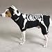 X-LARGE - GLOWING BONEY DOG - Pet Halloween Costume