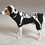 LARGE - GLOWING BONEY DOG - Pet Halloween Costume