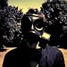 Insurgentes CD+DVD AUDIO