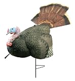 51bVCizTDhL. SL160  Buy Hunting Decoys Items